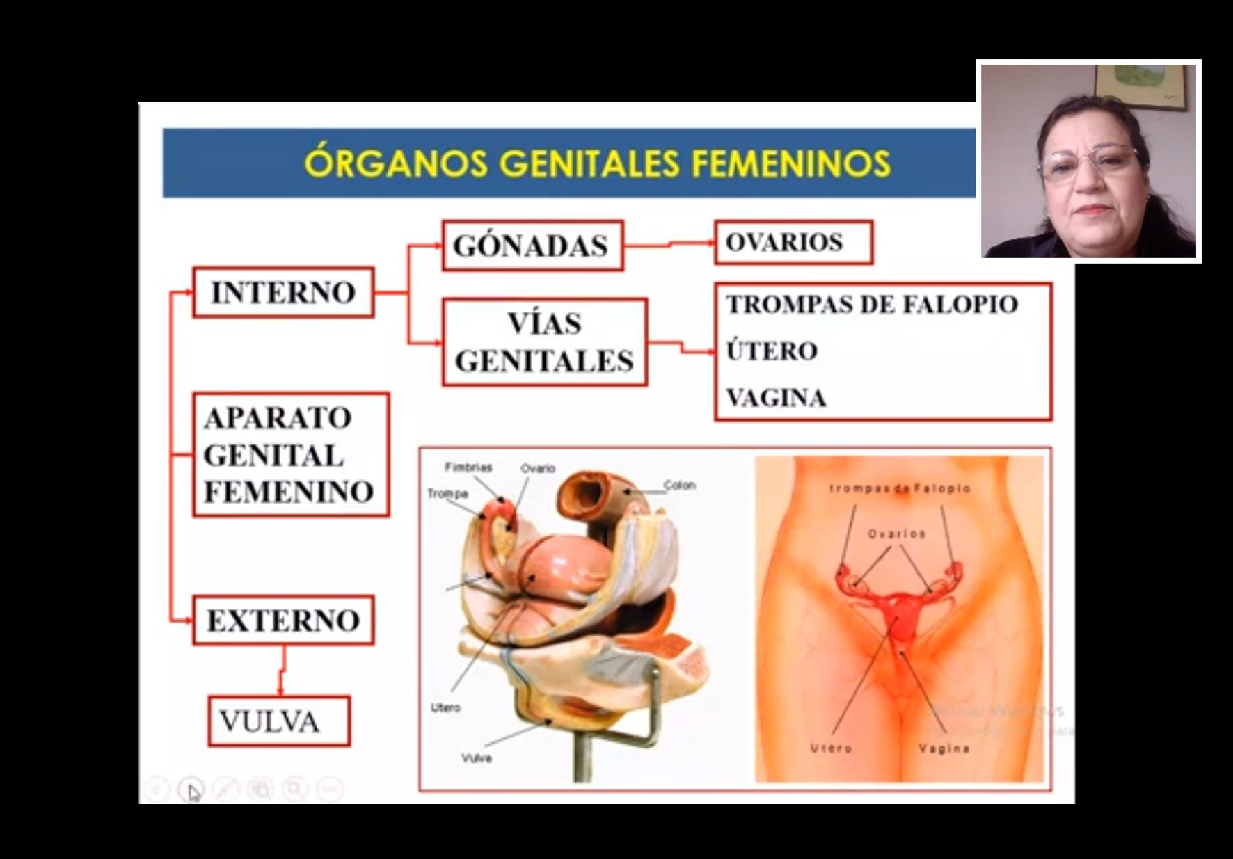 Slide image