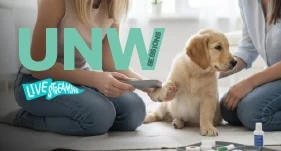 Webinar: Primeros auxilios para tu mascota